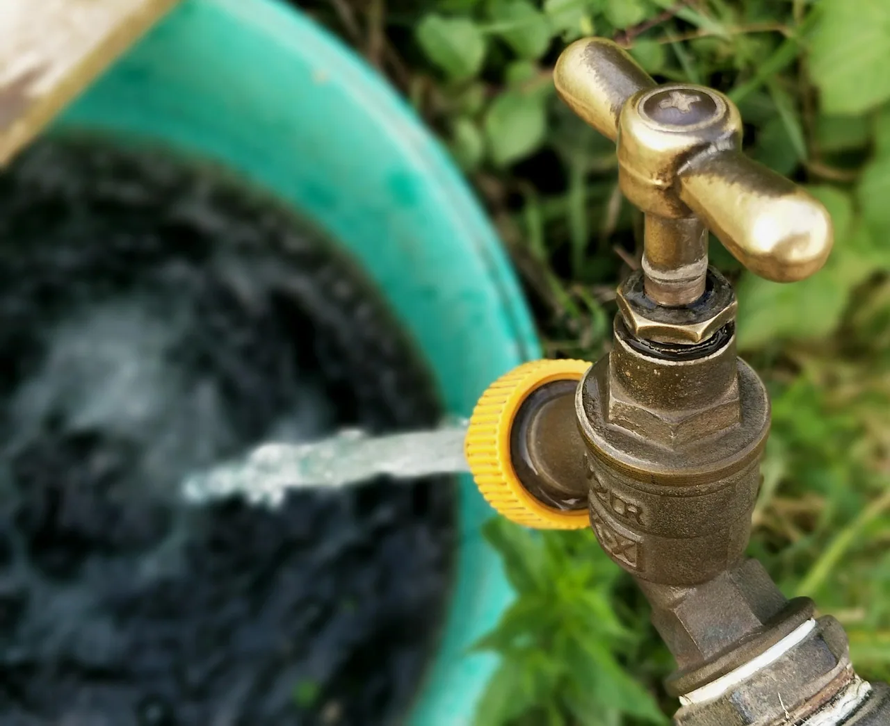 Eau au robinet