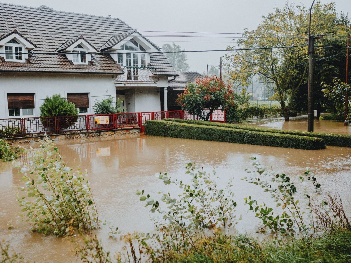 Dégâts des eaux : comment protéger efficacement votre logement ?
